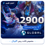 2900DM-Global
