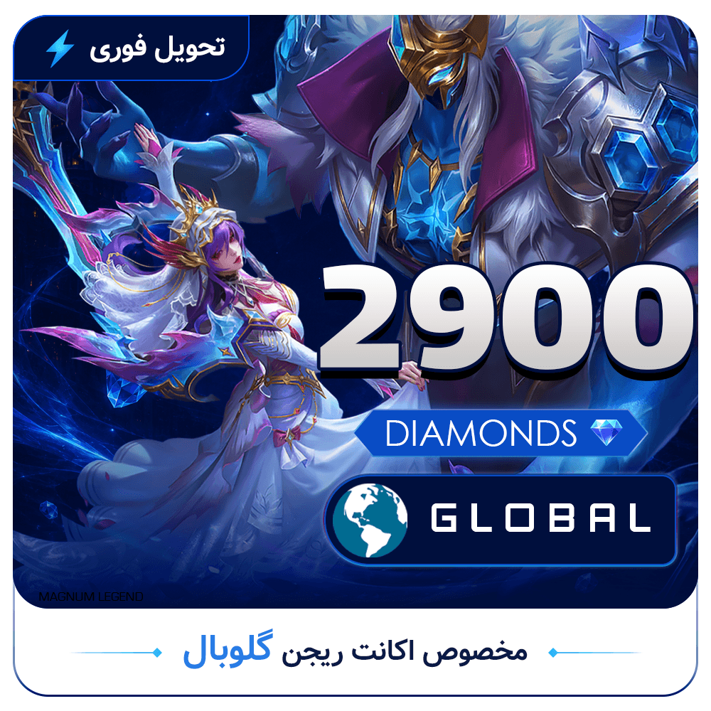 2900 2900DM-Global